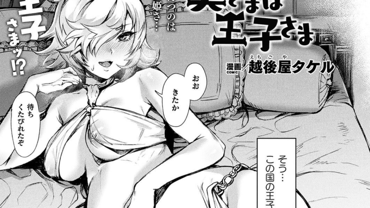 奥さまは王子さま