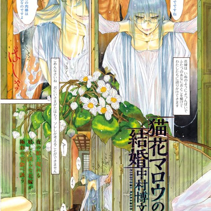 猫花マロウの結婚