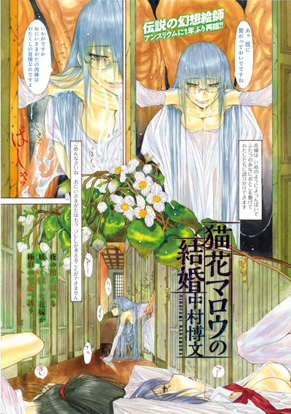 猫花マロウの結婚