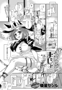 ふつつかまじょですが…