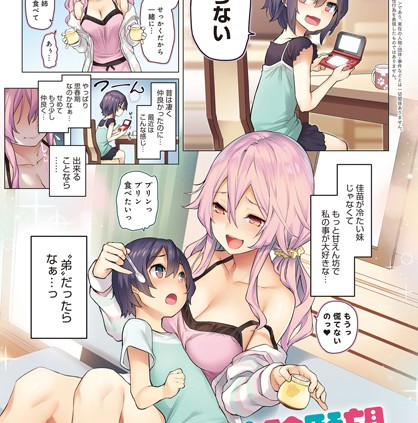 姉体験願望