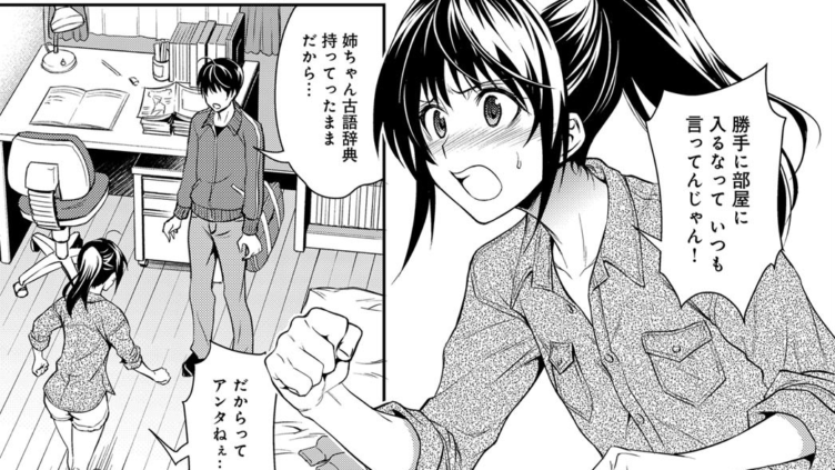 快速 姉の好奇心