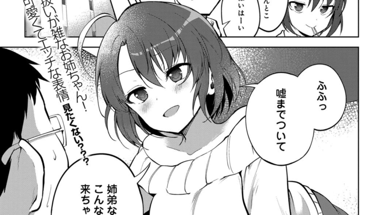 お姉ちゃん本音モード