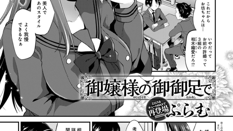 御嬢様の御御足で