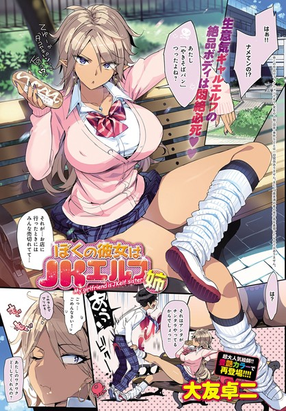 僕の彼女はJKエルフ姉