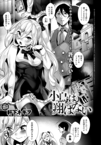 小鳥は翔ばない
