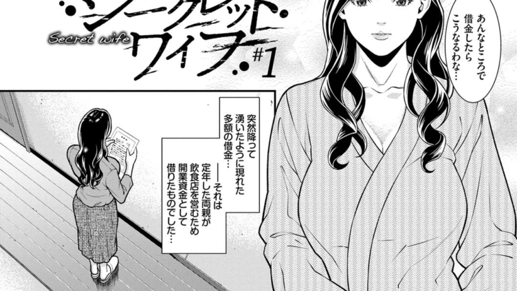 ヒトヅマノヒミツ FANZA限定 通常版