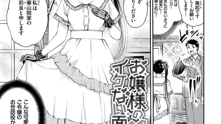 お嬢様のイケない面接