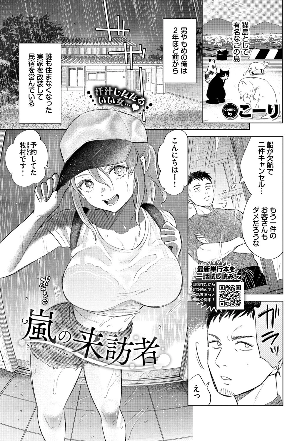 嵐の来訪者