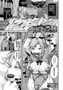 エルフの受難