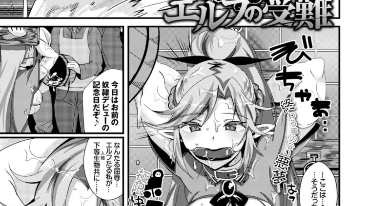 エルフの受難