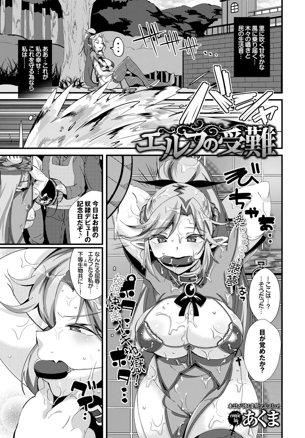 エルフの受難