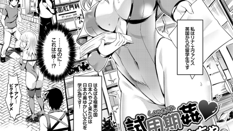 試用期姦