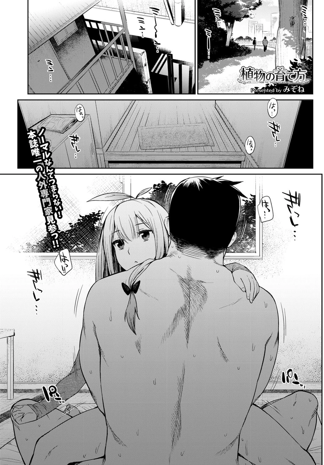植物の育て方