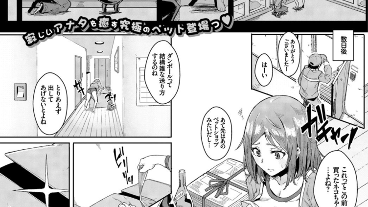 ペットな彼女の調教録