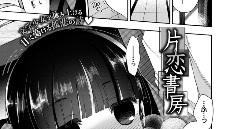 片恋書房