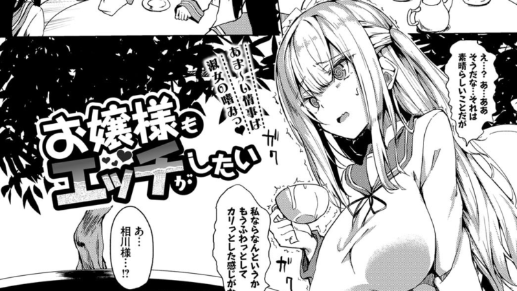 お嬢様もエッチがしたい