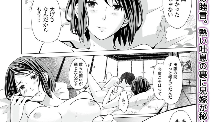 開かずの間 〜月夜に濡れる義姉の肌〜