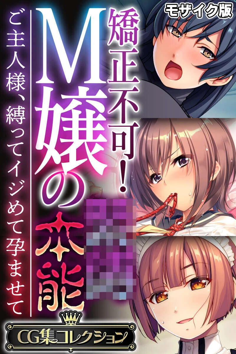 矯正不可！M嬢の●●本能 〜ご主人様、縛ってイジめて孕ませて〜【CG集コレクション】 モザイク版