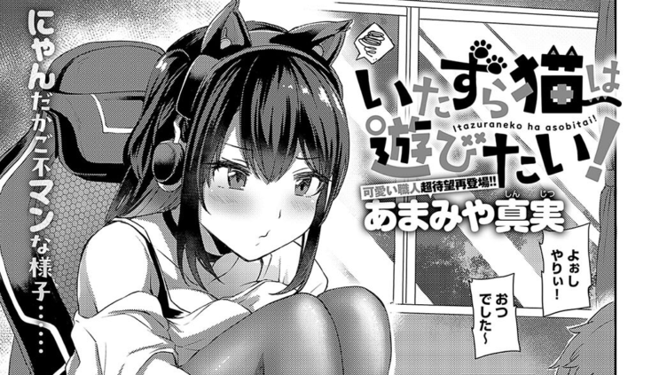 いたずら猫は遊びたい！