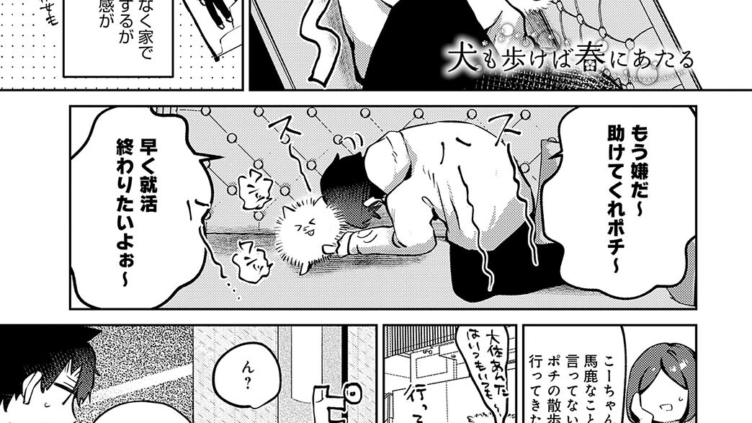 犬も歩けば春にあたる