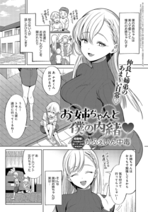 お姉ちゃんと僕の内緒