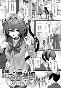 猫又の発情期