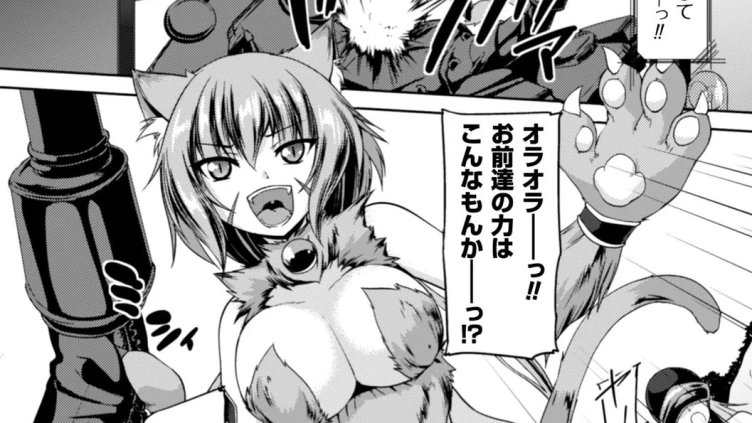 凌●戦隊ゴーカンジャー