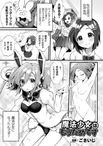 魔法少女はもうだめです