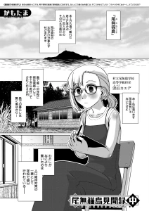 尾無猫島見聞録 中（かもたま）