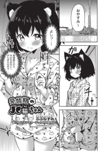 発情期の●●猫ちゃん