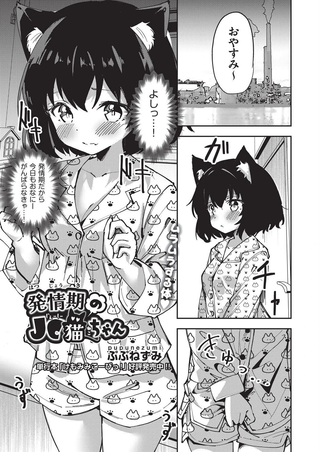 発情期の●●猫ちゃん