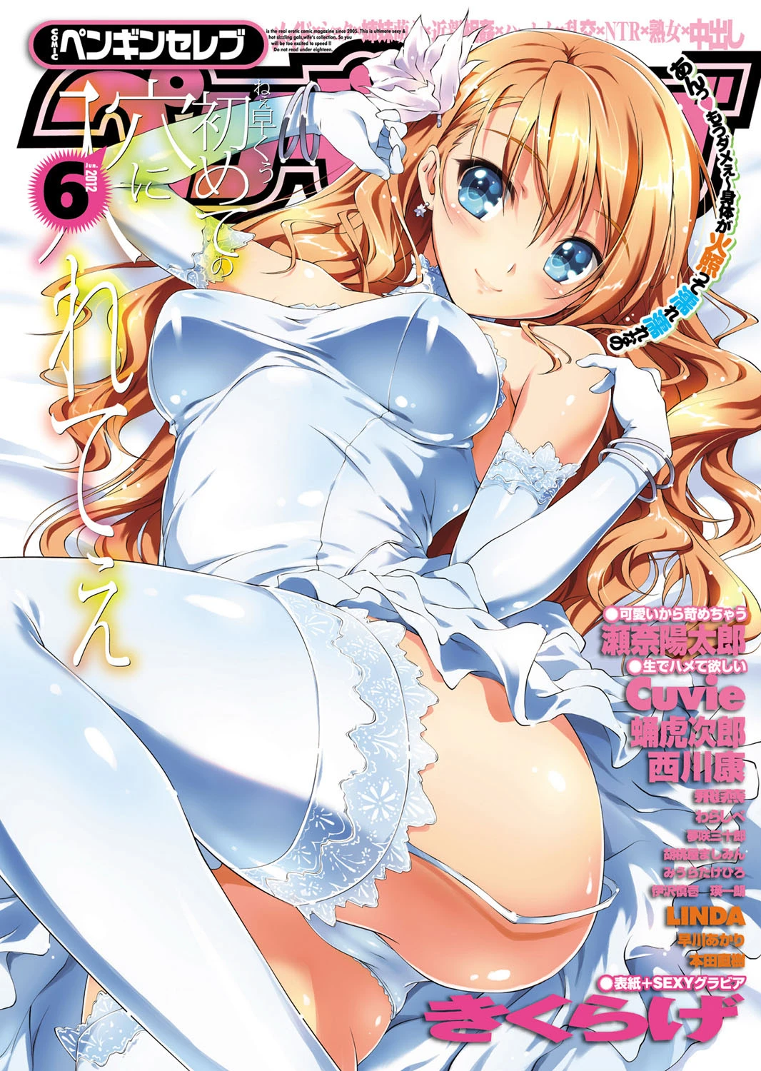 COMICペンギンセレブ 2012年6月号