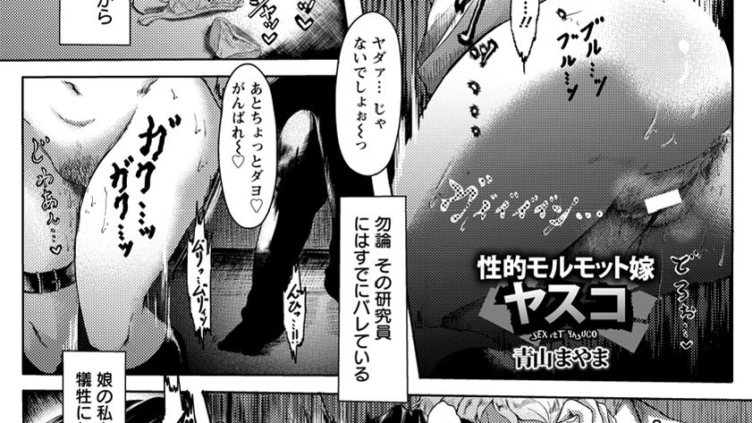 性的モルモット嫁 ヤスコ