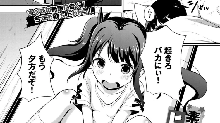 素晴らしき哉、ヒッキー生活！
