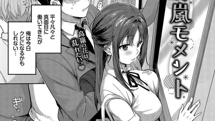 夏嵐モメント