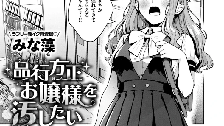 品行方正お嬢様を汚したい
