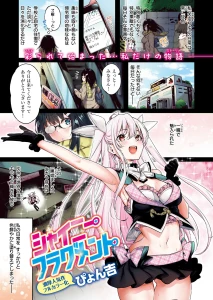 シャイニーフラグメント