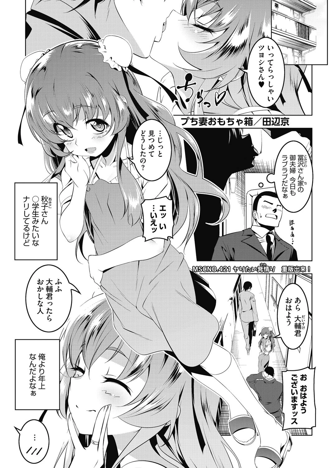 プち妻おもちゃ箱