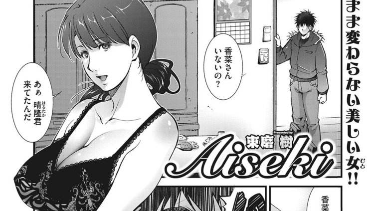 Aiseki