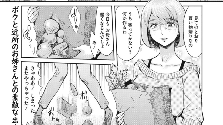 人妻と少年 昼下がりの誘惑