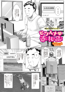ヒワイナ返礼品
