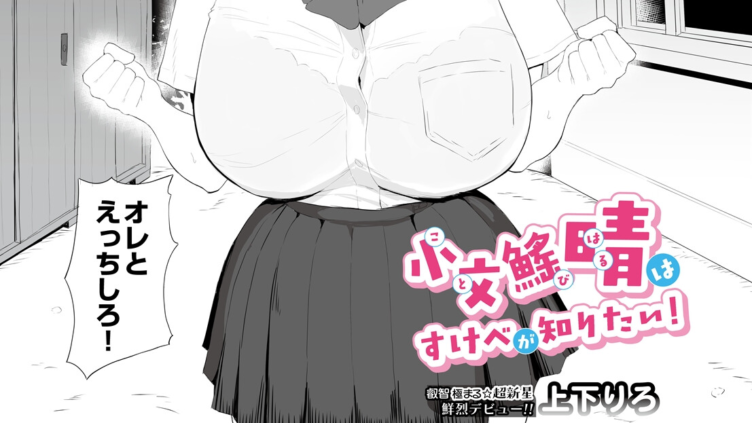 小文び（※「び」は魚爪缶）晴はすけべが知りたい！