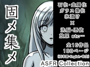 固メ集メ