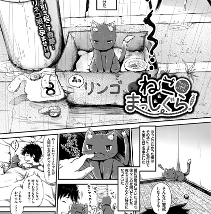ねこましっぐら！