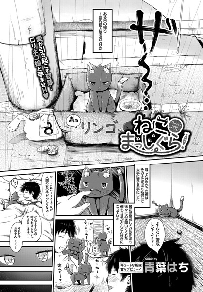 ねこましっぐら！