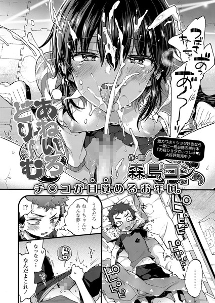 あねいろどりーむ