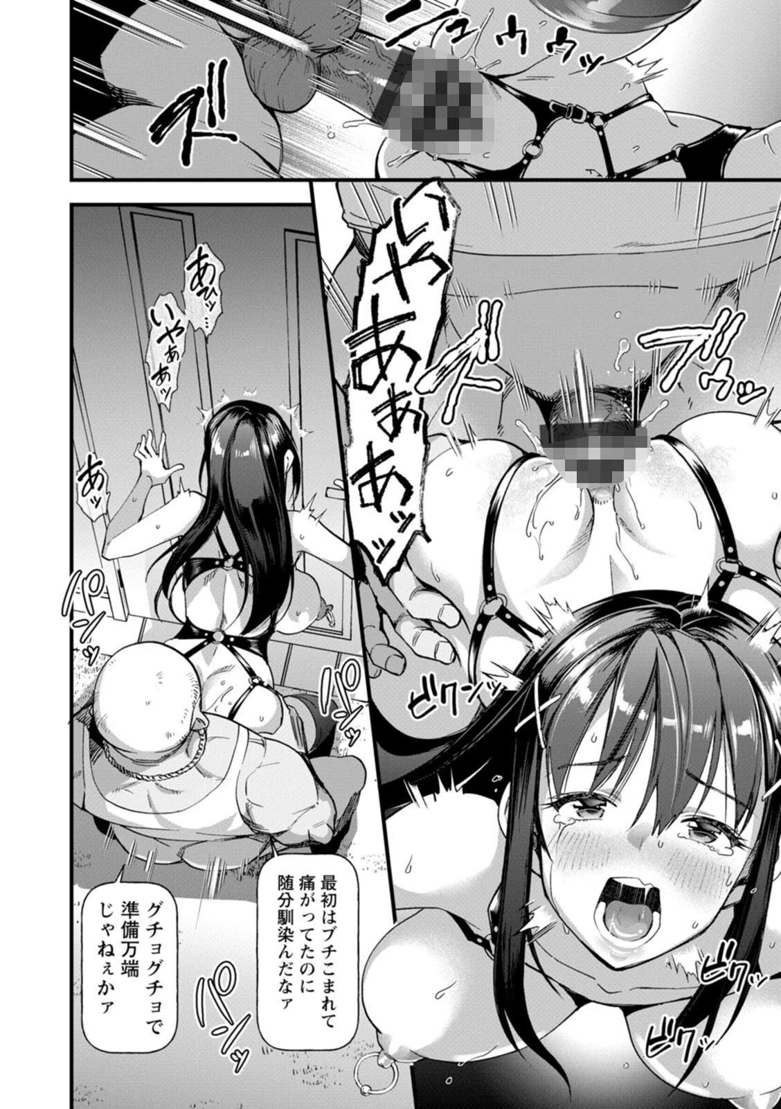 メスの烙淫ページ14
