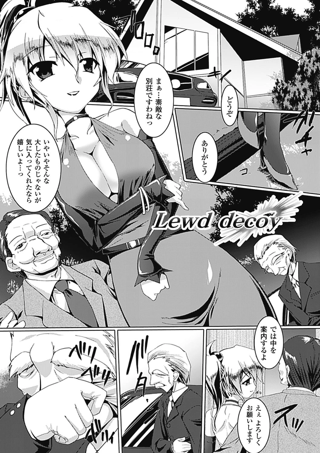 Lewd decoy