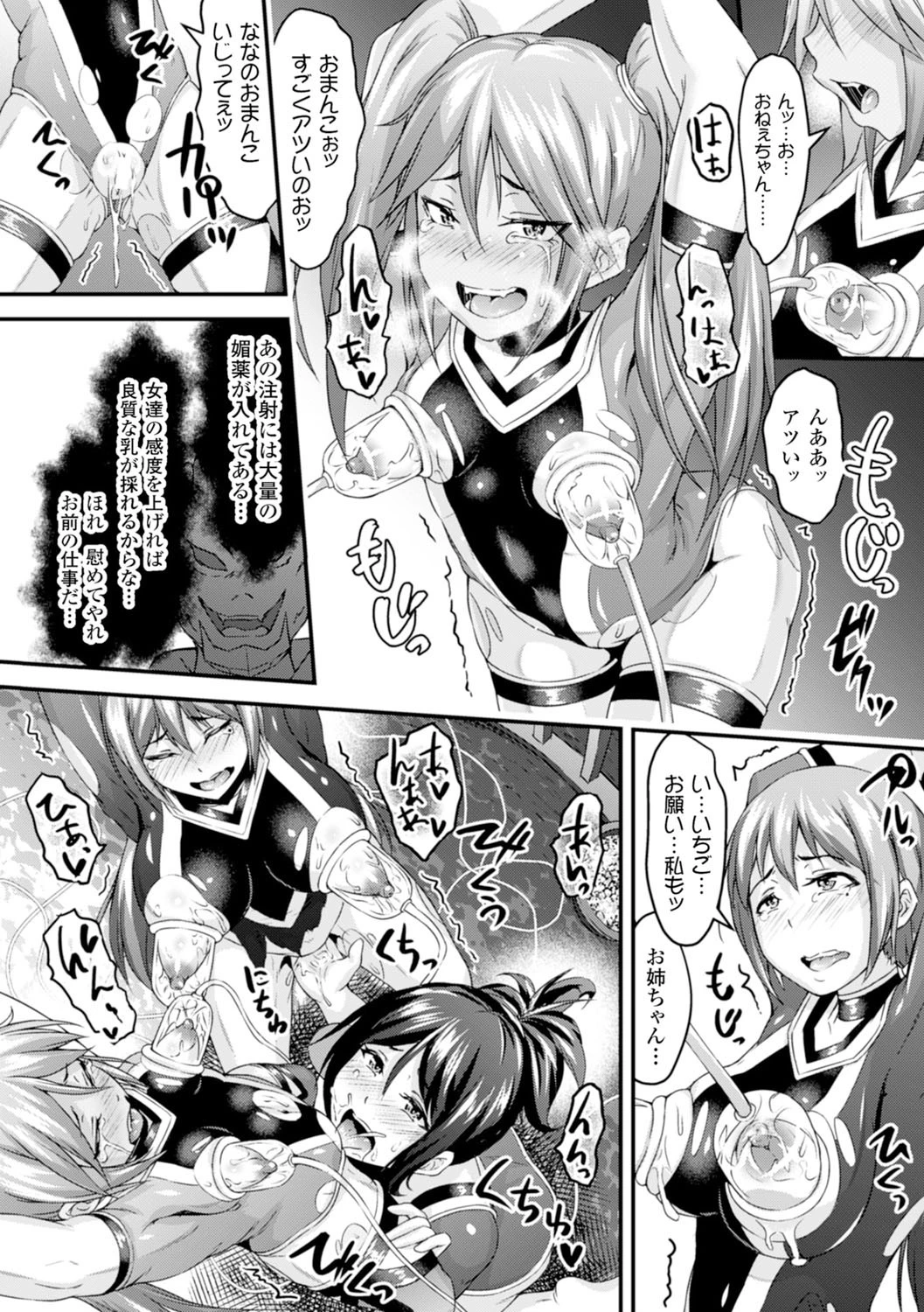 姉妹戦隊ベジレンジャー 〜いちごの飼育日記〜ページ6